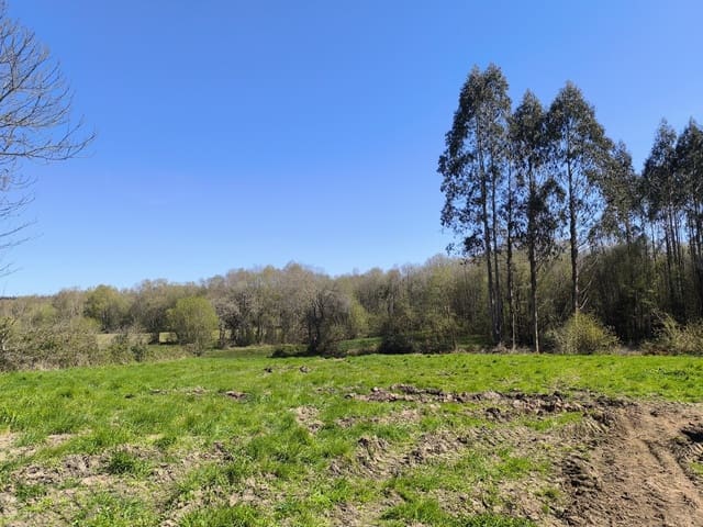 3 chambre Finca/Maison de Campagne à vendre à Palas de Rei avec garage - 117 000 € (Ref: 9858873)