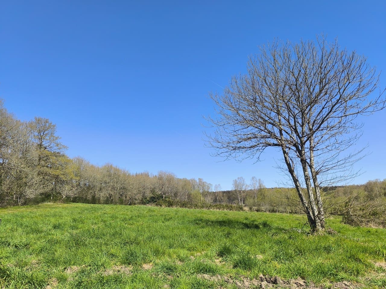 3 chambre Finca/Maison de Campagne à vendre à Palas de Rei avec garage - 117 000 € (Ref: 9858873)