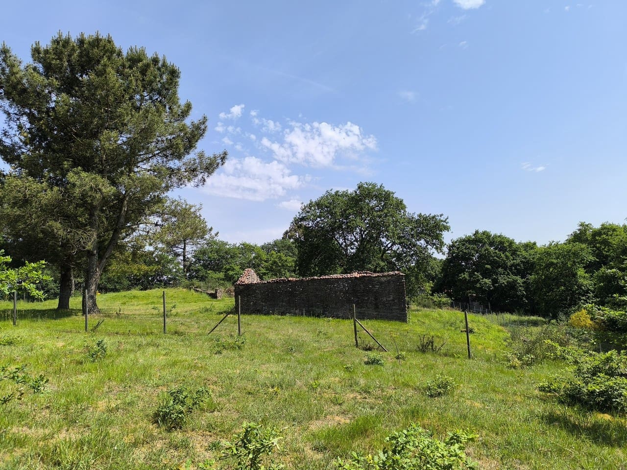 Finca/Casa di Campagna in vendita in Monterroso - 28.000 € (Rif: 9872492)