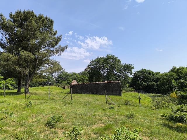 Finca/Casa di Campagna in vendita in Monterroso - 28.000 € (Rif: 9872492)