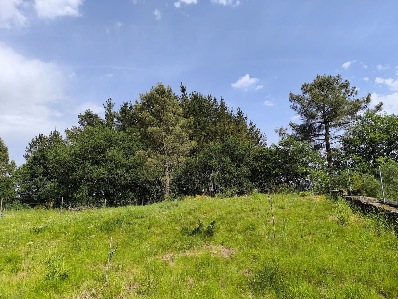 Finca/Casa di Campagna in vendita in Monterroso - 28.000 € (Rif: 9872492)