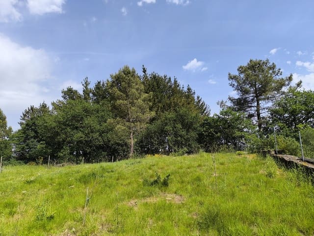 Finca/Casa di Campagna in vendita in Monterroso - 28.000 € (Rif: 9872492)
