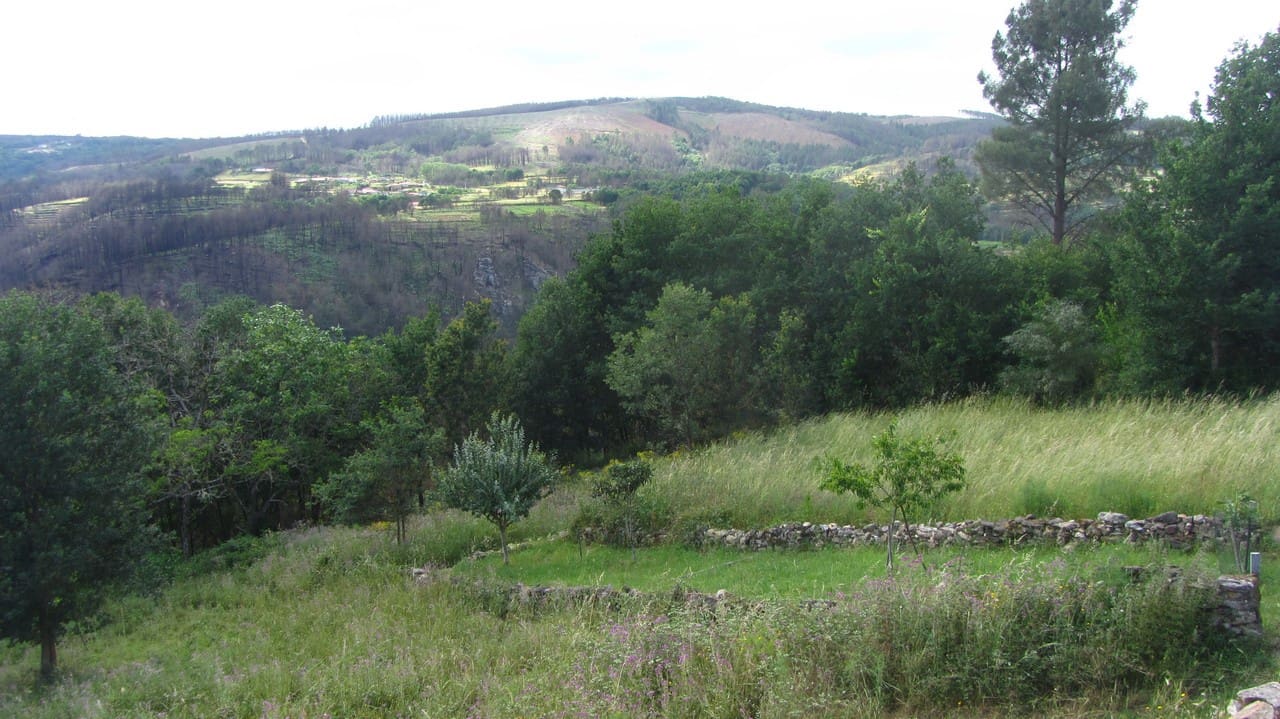4 quarto Quinta/Casa Rural para venda em Sober com garagem - 250 000 € (Ref: 9913797)