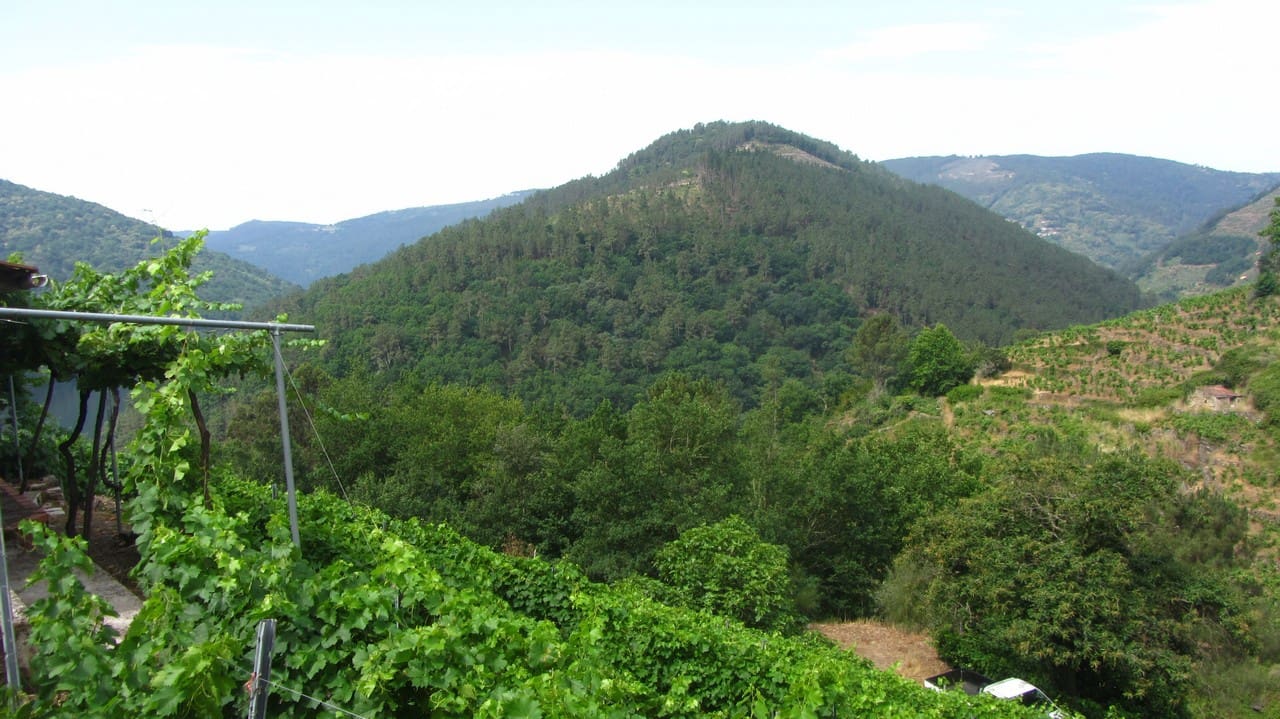1 bedroom Finca/Country House for sale in O Savinao - € 28,000 (Ref: 9923051)