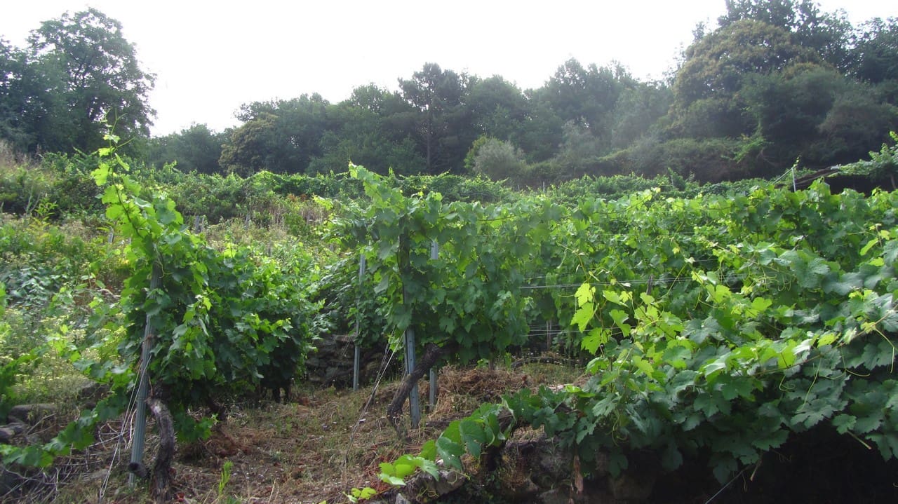1 bedroom Finca/Country House for sale in O Savinao - € 28,000 (Ref: 9923051)
