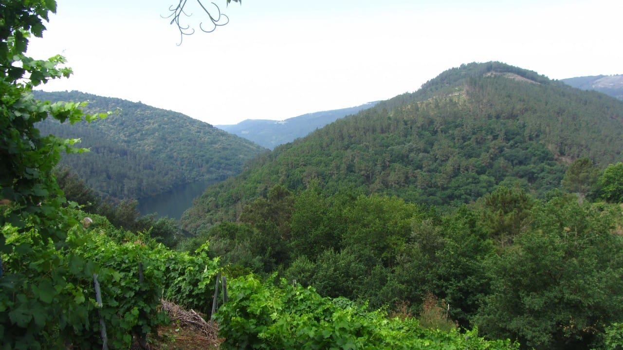 1 bedroom Finca/Country House for sale in O Savinao - € 28,000 (Ref: 9923051)