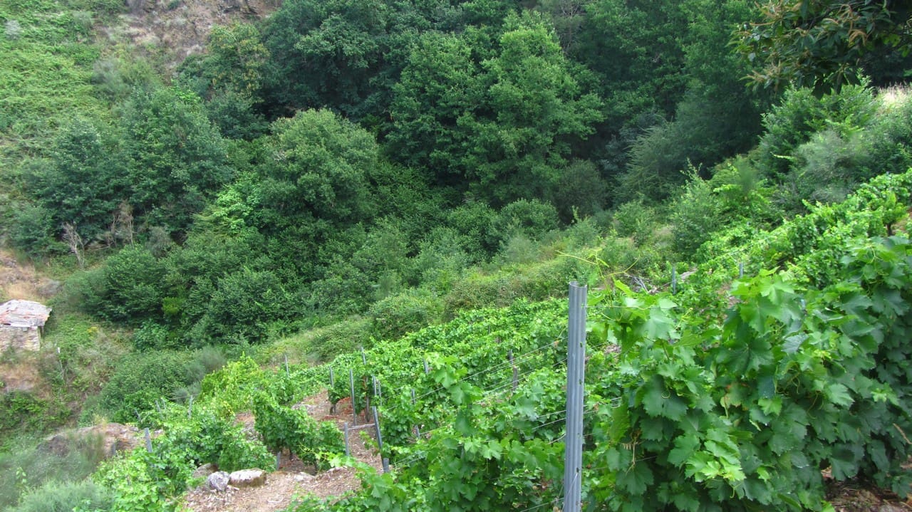 1 bedroom Finca/Country House for sale in O Savinao - € 28,000 (Ref: 9923051)
