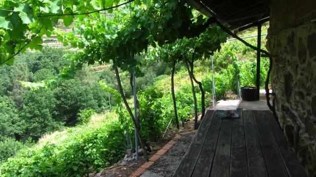 1 soveværelse Finca/Landehus til salg i O Saviñao - € 28.000 (Ref: 9923051)