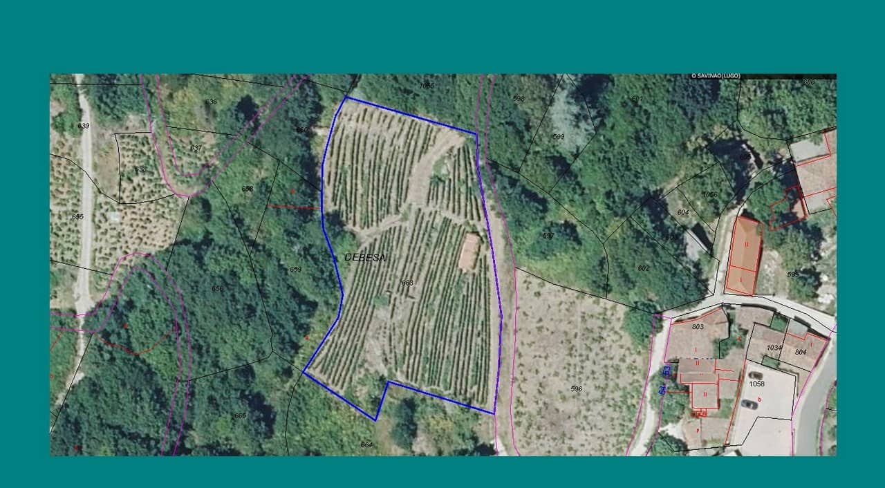 Finka/Dom wiejski na sprzedaż w O Savinao - 23 000 € (Ref: 9926504)