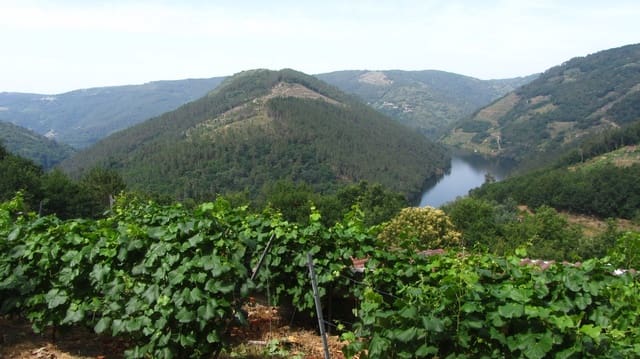 Finca/Landehus til salg i O Saviñao - € 23.000 (Ref: 9926504)