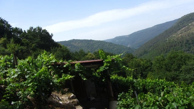 Finca/Landehus til salg i O Saviñao - € 23.000 (Ref: 9926504)