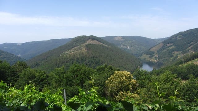 Finca/Landehus til salg i O Saviñao - € 23.000 (Ref: 9926504)