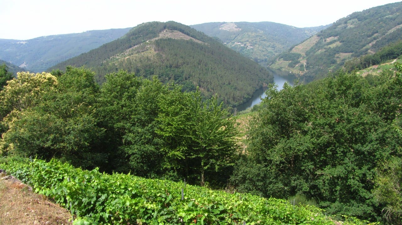 Finka/Dom wiejski na sprzedaż w O Savinao - 23 000 € (Ref: 9926504)