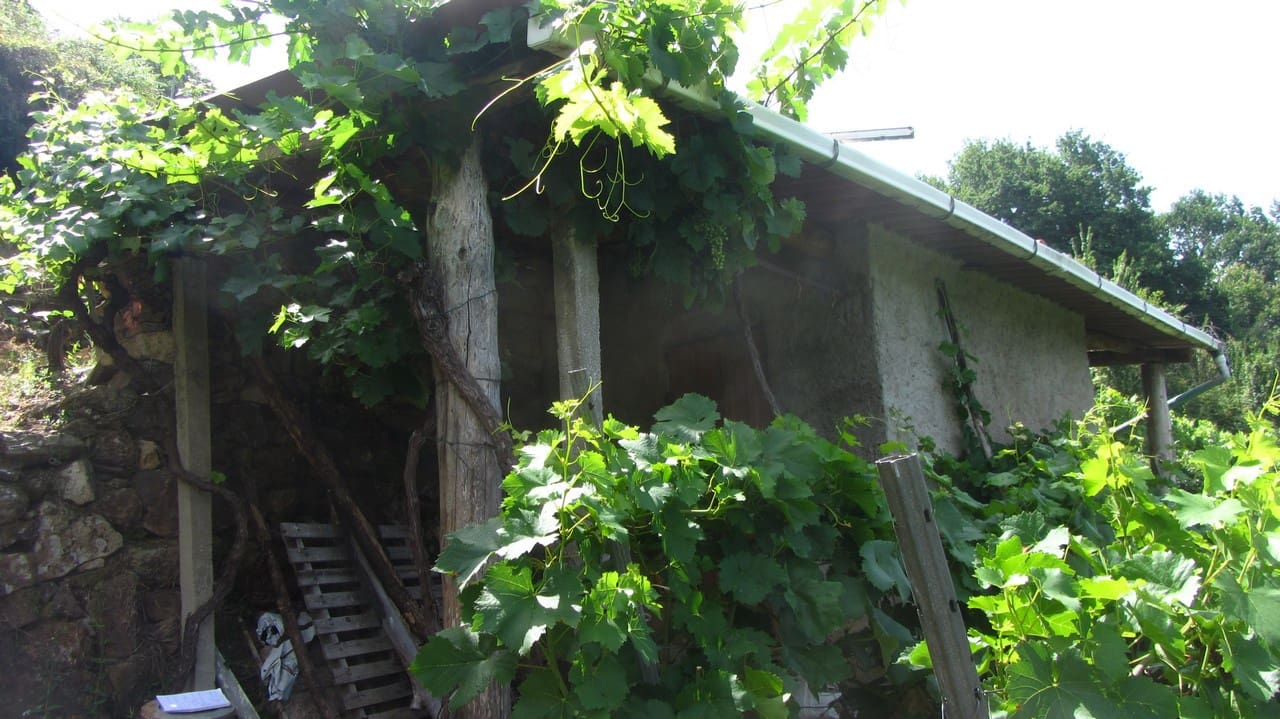 Finka/Dom wiejski na sprzedaż w O Savinao - 23 000 € (Ref: 9926504)