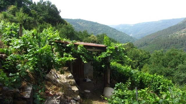 Finca/Landehus til salg i O Saviñao - € 23.000 (Ref: 9926504)