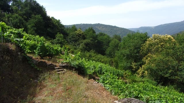 Finca/Landehus til salg i O Saviñao - € 23.000 (Ref: 9926504)
