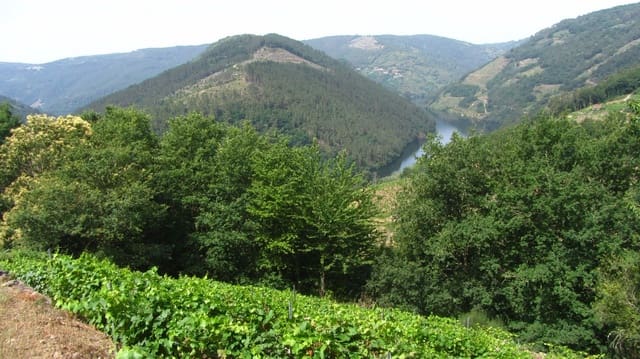 Finca/Landehus til salg i O Saviñao - € 23.000 (Ref: 9926504)