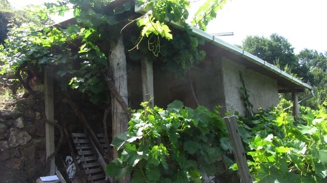 Finca/Landehus til salg i O Saviñao - € 23.000 (Ref: 9926504)
