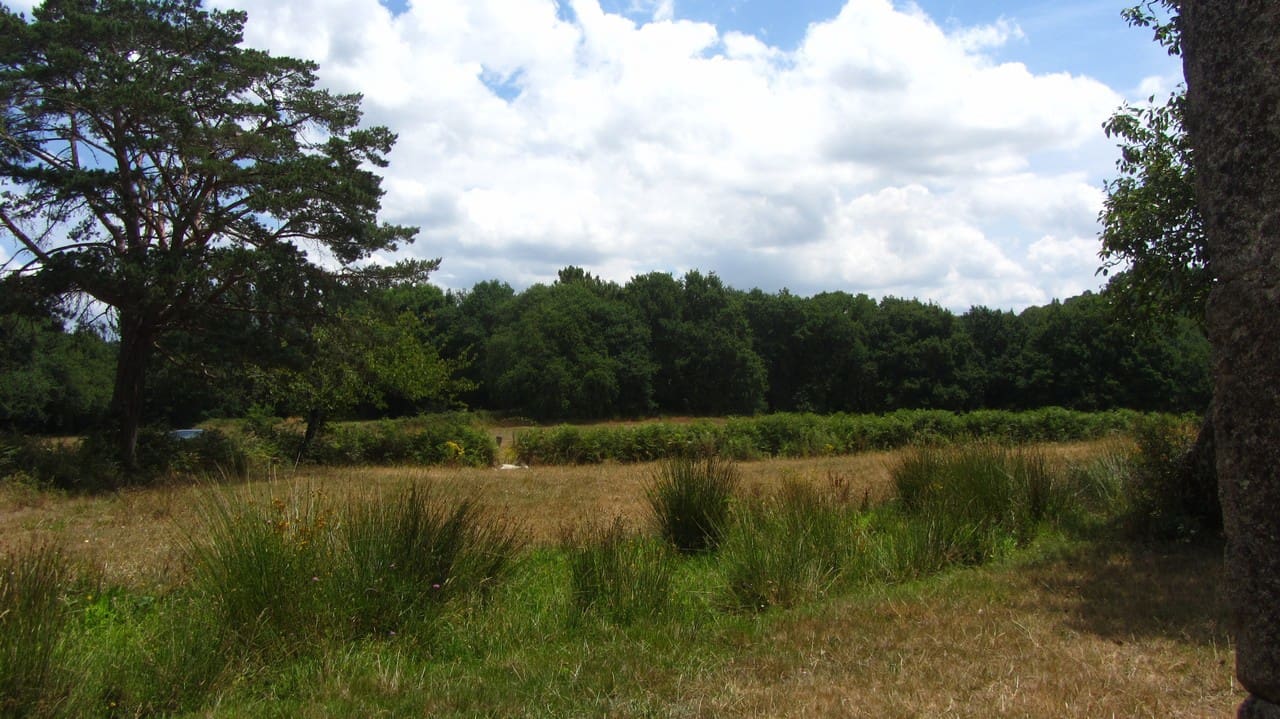 6 soverom Finca/Herregård til salgs i Antas de Ulla - € 85 000 (Ref: 9966064)