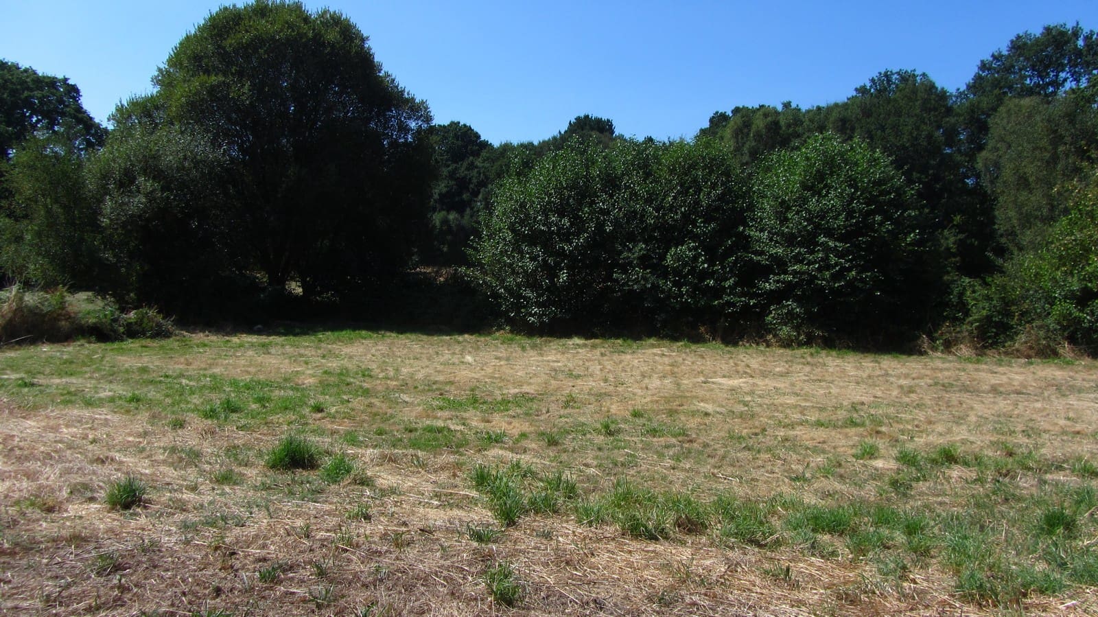 4 slaapkamer Finca/Landhuis te koop in Antas de Ulla met garage - € 76.000 (Ref: 9966814)