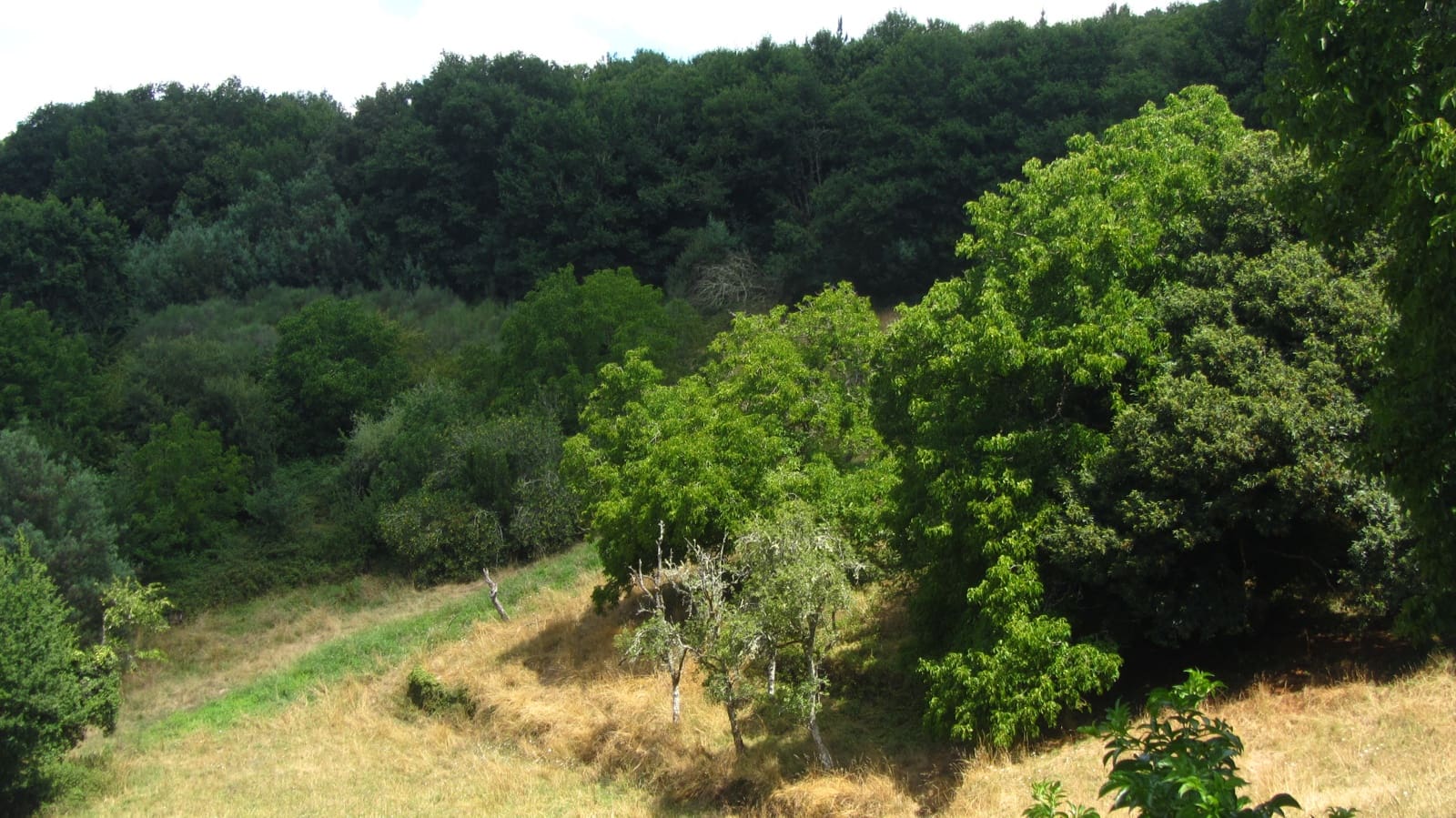 Finca/Casa Rural de 5 habitaciones en O Saviñao en venta con garaje - 70.000 € (Ref: 9977840)