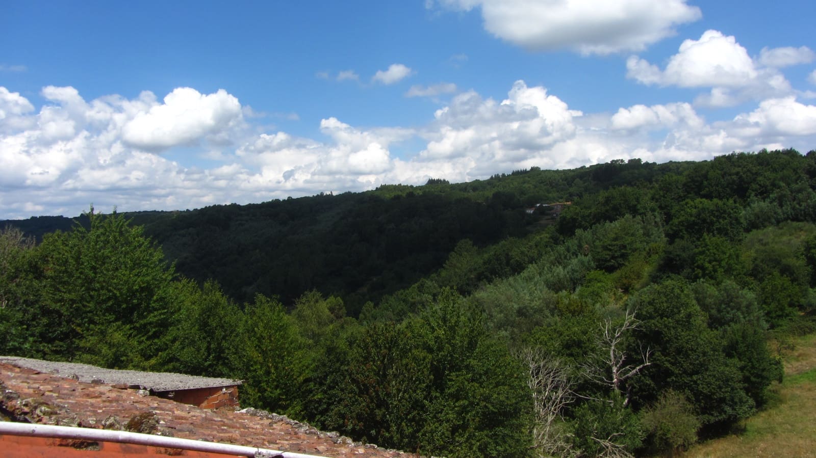 Finca/Casa Rural de 5 habitaciones en O Saviñao en venta con garaje - 70.000 € (Ref: 9977840)