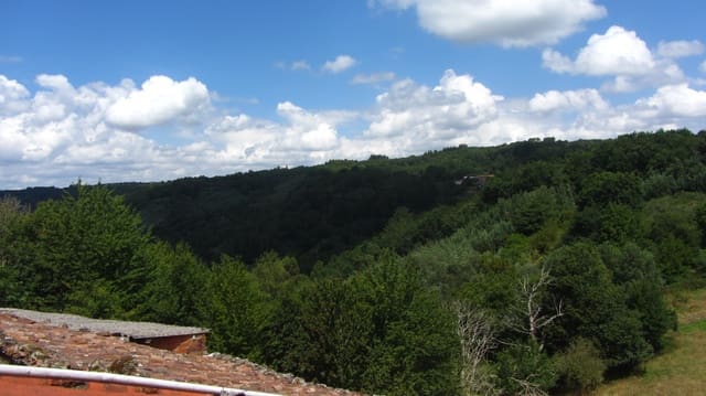 5 slaapkamer Finca/Landhuis te koop in O Saviñao met garage - € 70.000 (Ref: 9977840)