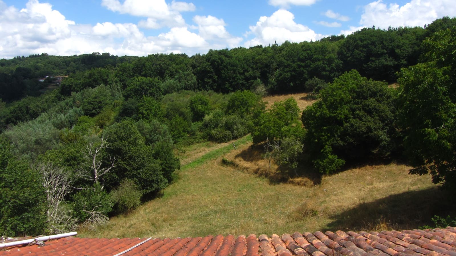 Finca/Casa Rural de 5 habitaciones en O Saviñao en venta con garaje - 70.000 € (Ref: 9977840)