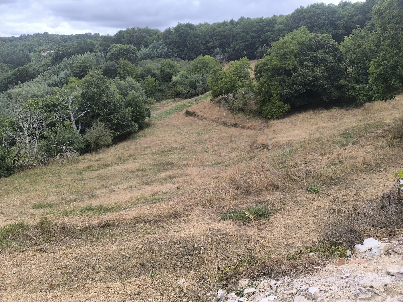5 bedroom Finca/Country House for sale in O Savinao with garage - € 70,000 (Ref: 9977840)