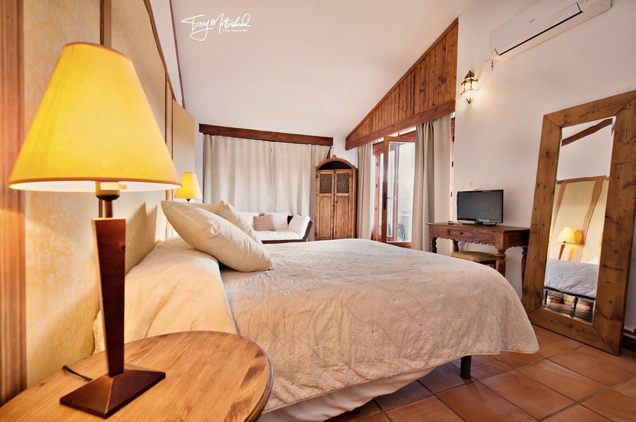 9 bedroom Guesthouse/B & B for sale in Alhama de Granada - € 499,999 (Ref: 9815077)