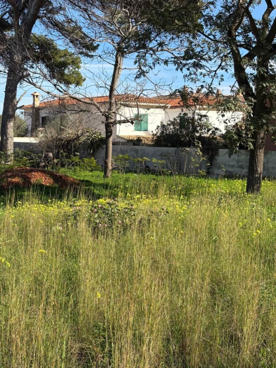 Building Plot for sale in Denia - € 736,000 (Ref: 10010011)