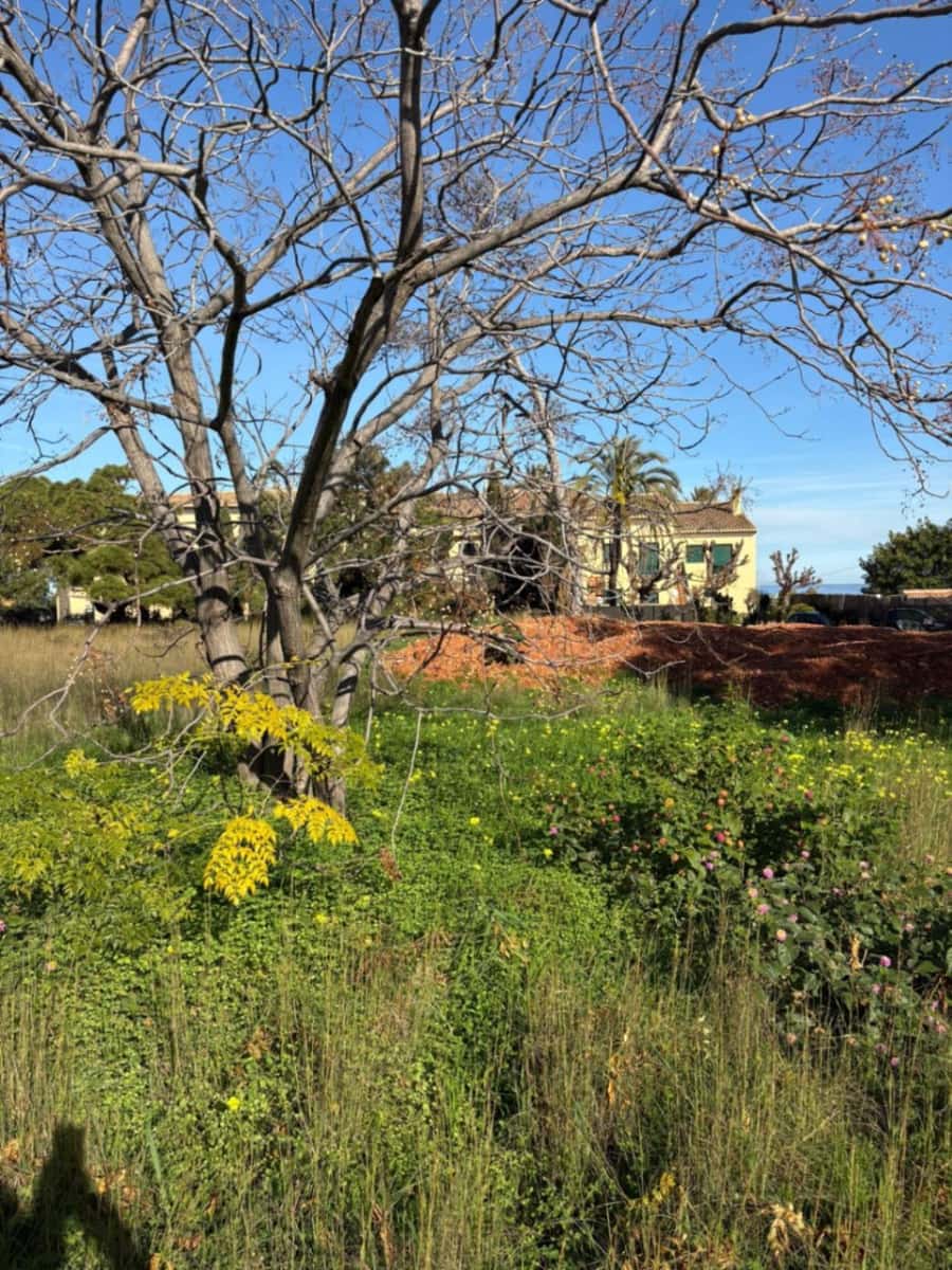 Building Plot for sale in Denia - € 736,000 (Ref: 10010011)