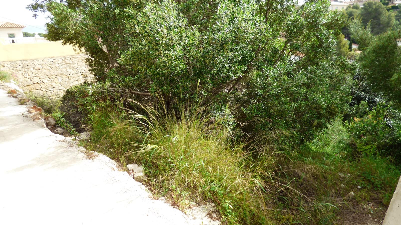 Terrain à Bâtir à vendre à Denia - 180 000 € (Ref: 7074035)