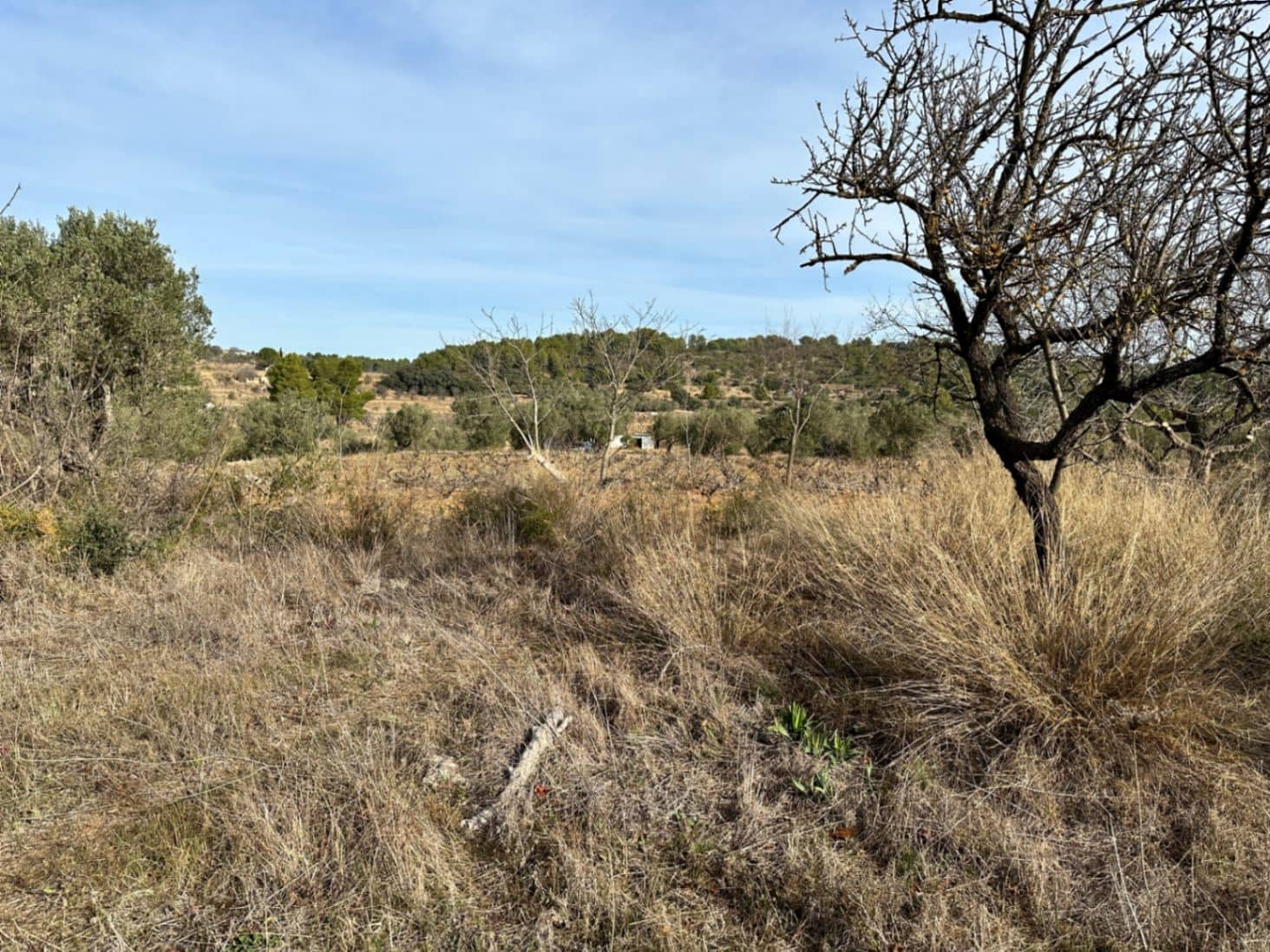 Tontti myytävänä paikassa Jalon / Xalo - 180 000 € (Ref: 8635687)