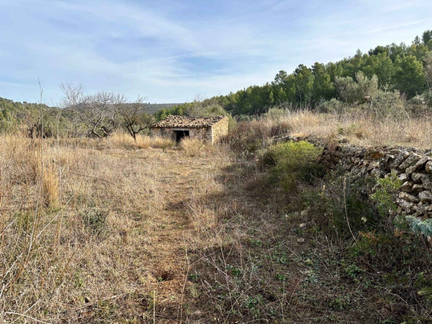 Tontti myytävänä paikassa Jalon / Xalo - 180 000 € (Ref: 8635687)