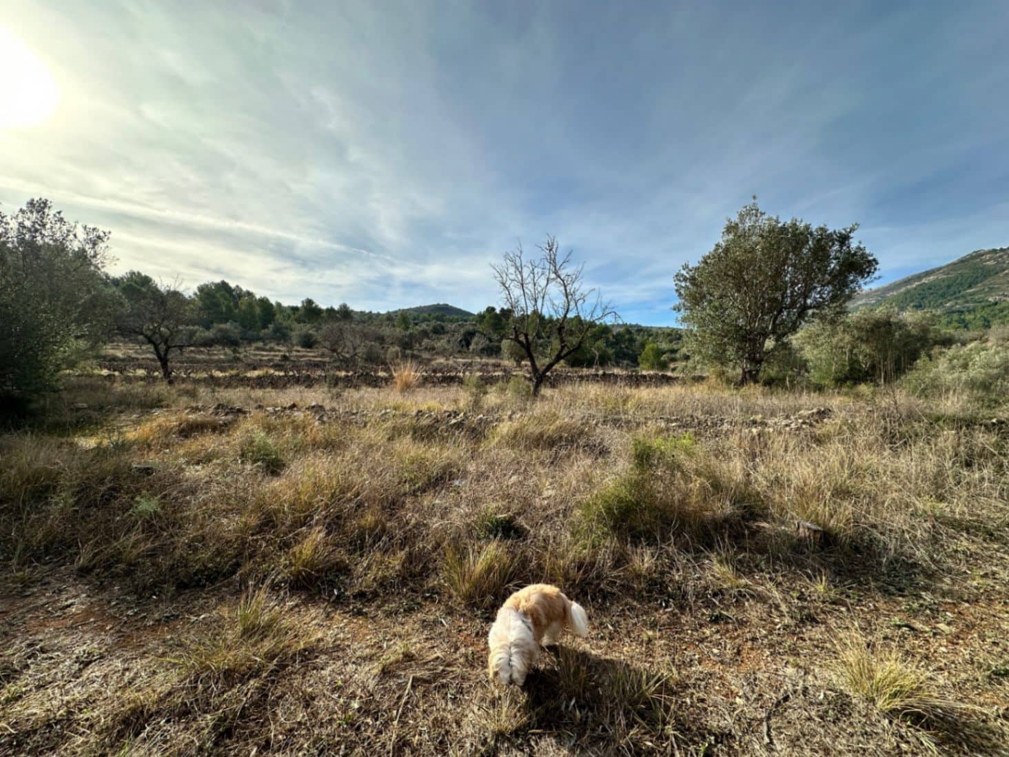 Tontti myytävänä paikassa Jalon / Xalo - 180 000 € (Ref: 8635687)