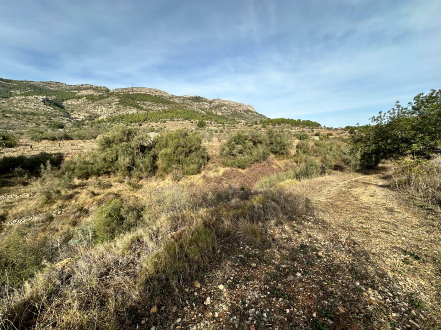 Tontti myytävänä paikassa Jalon / Xalo - 180 000 € (Ref: 8635687)