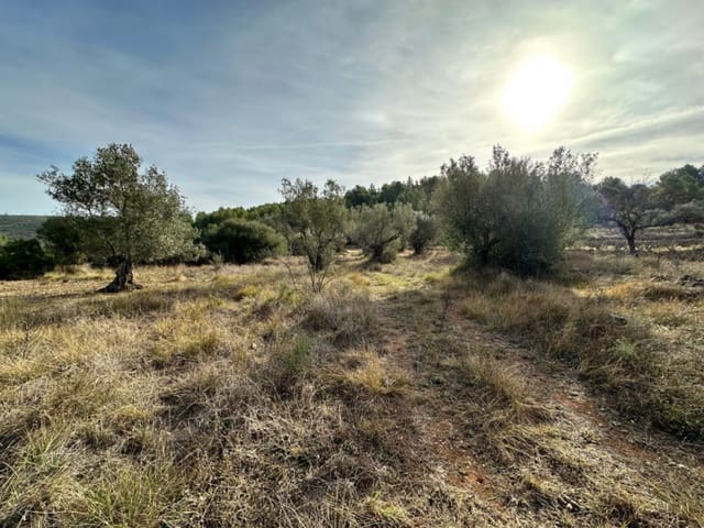 Tontti myytävänä paikassa Jalón / Xaló - 180 000 € (Ref: 8635687)