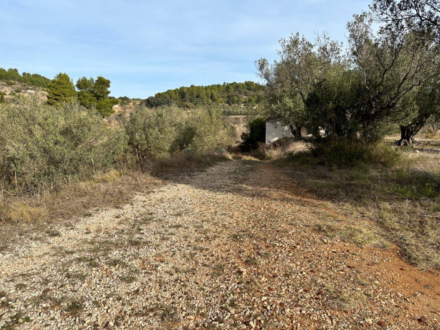 Tontti myytävänä paikassa Jalon / Xalo - 180 000 € (Ref: 8635687)