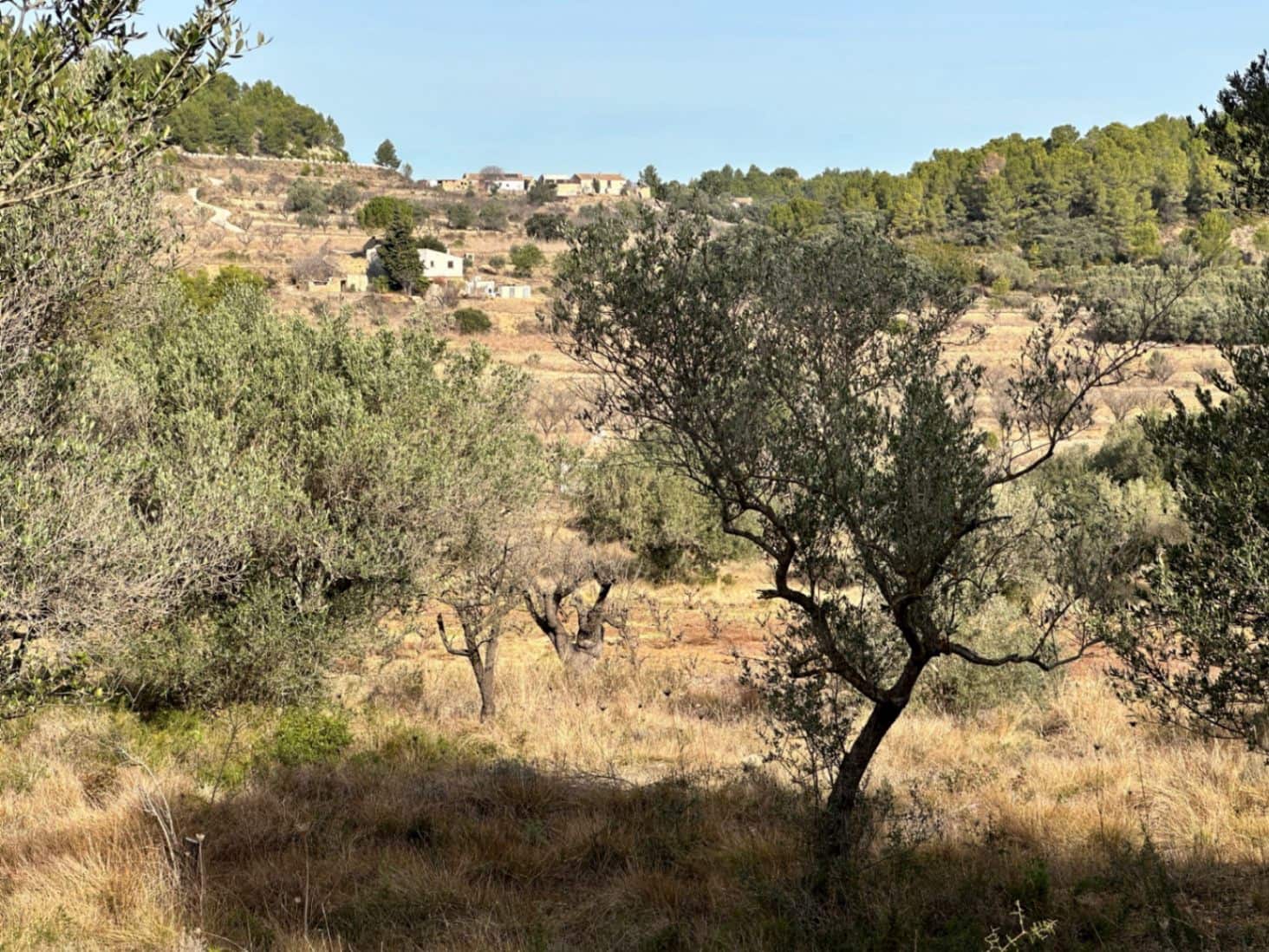 Tontti myytävänä paikassa Jalon / Xalo - 180 000 € (Ref: 8635687)