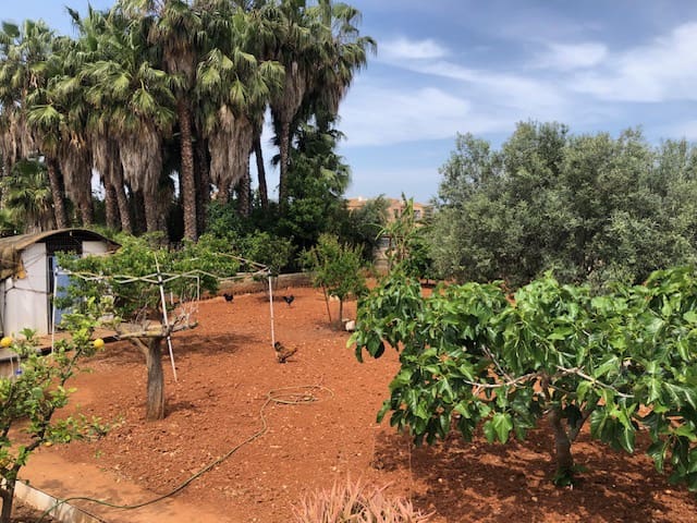 4 soveværelse Villa til salg i Denia med swimmingpool garage - € 580.000 (Ref: 9064012)