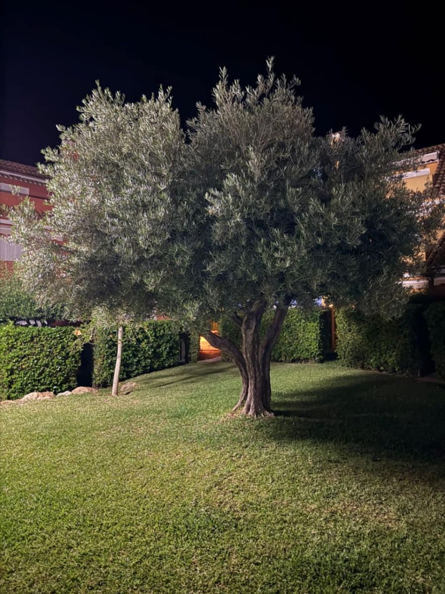 4 soveværelse Bungalow til salg i Denia med swimmingpool garage - € 469.000 (Ref: 9097346)