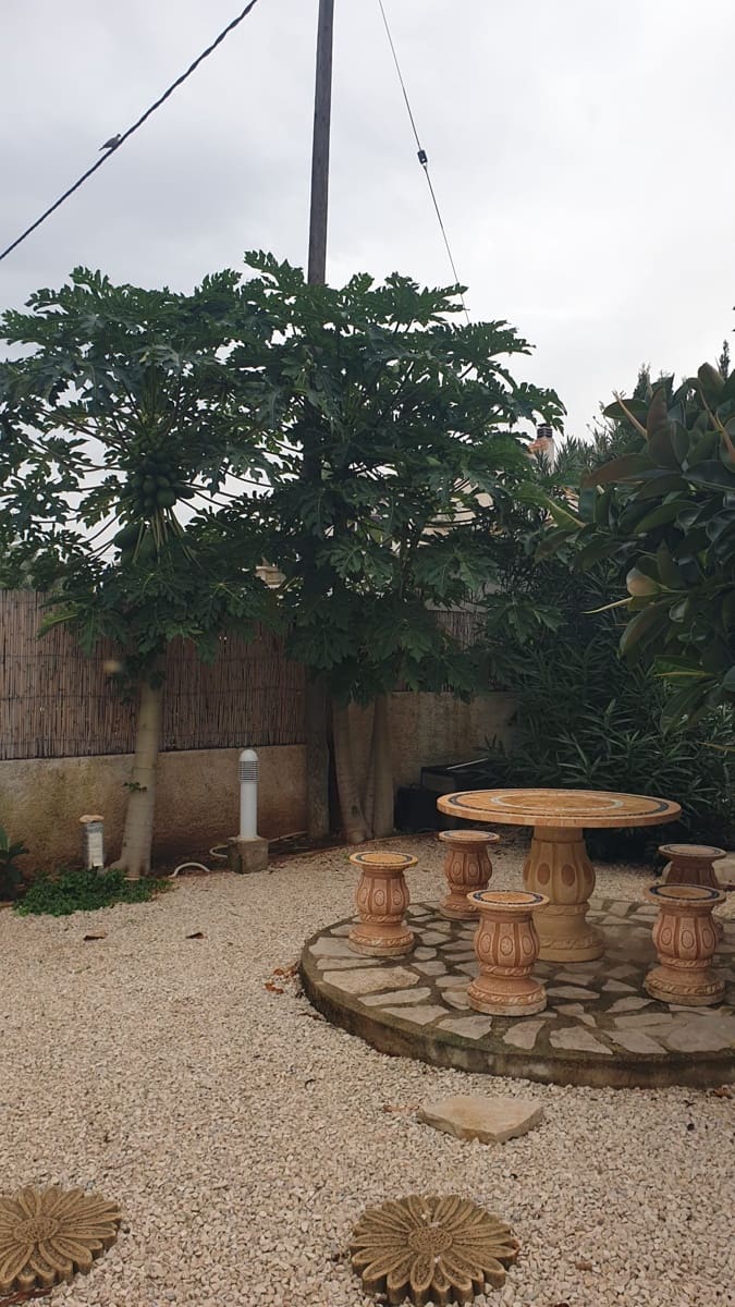 3 soverom Villa til salgs i Denia med svømmebasseng garasje - € 550 000 (Ref: 9133594)