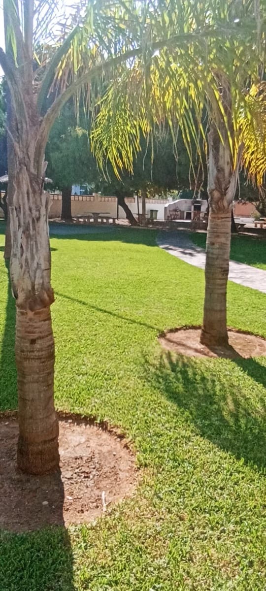 Apartamento Playa de 3 habitaciones en El Vergel / Verger en alquiler con piscina garaje - 800 € (Ref: 9400245)