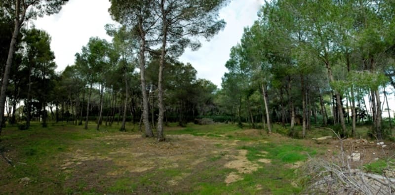 7 sypialnia Willa na sprzedaż w Denia z basenem - 1 800 000 € (Ref: 9708093)