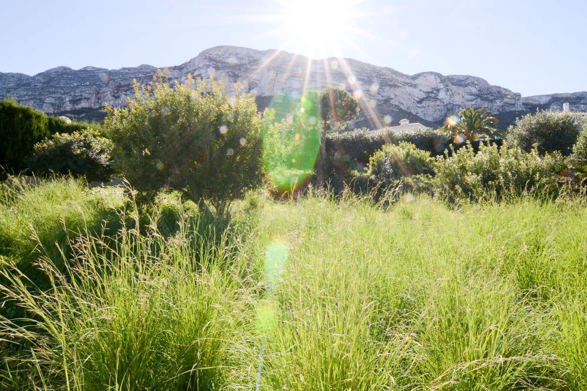 Building Plot for sale in Denia - € 250,000 (Ref: 9708121)