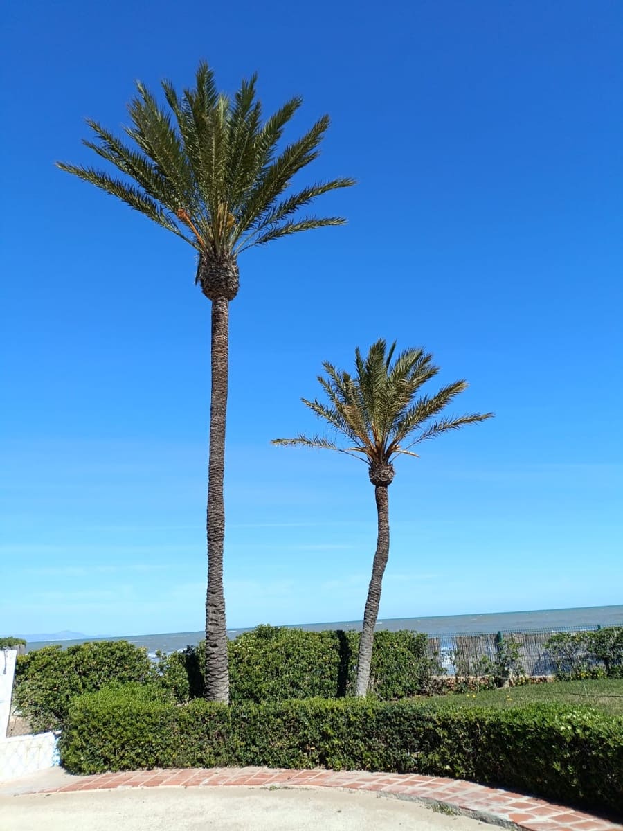 2 sovrum Strandlägenhet till salu i Denia med garage - 225 000 € (Ref: 9833139)