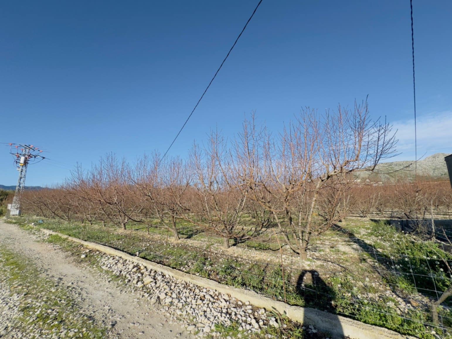 Finca/Country House for sale in Beniarbeig - € 175,000 (Ref: 9925054)