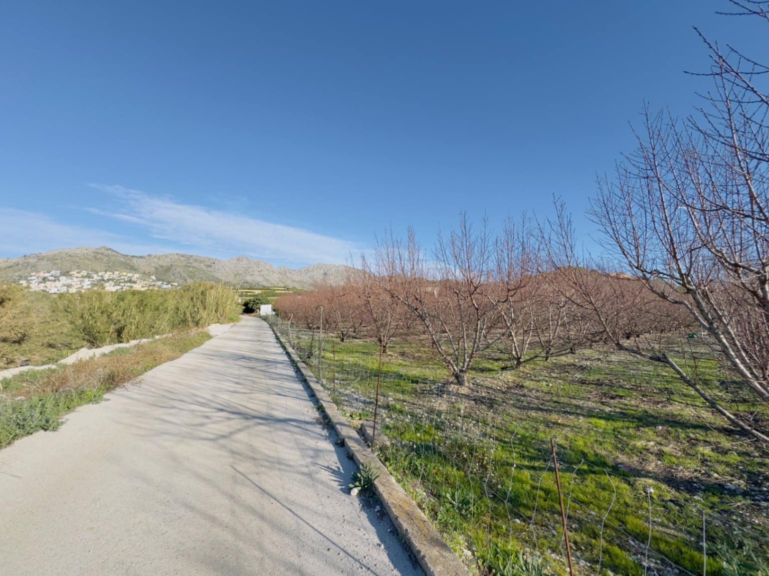 Finca/Country House for sale in Beniarbeig - € 175,000 (Ref: 9925054)