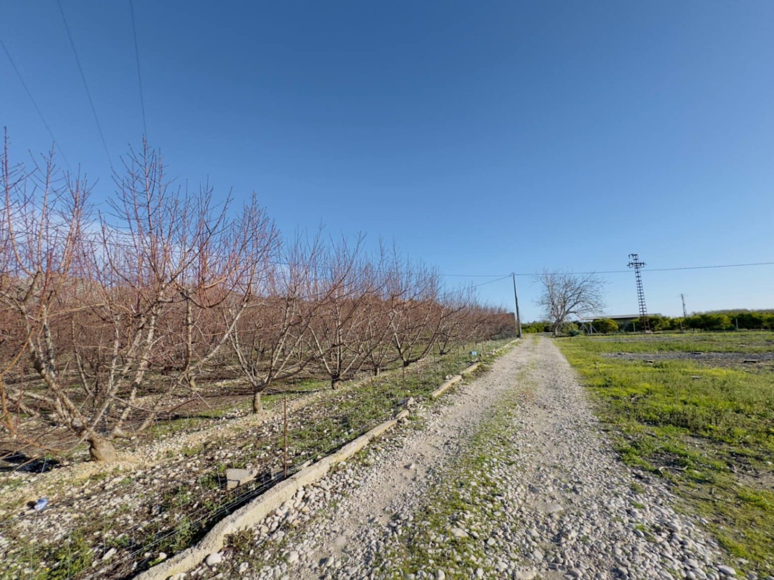 Finca/Country House for sale in Beniarbeig - € 175,000 (Ref: 9925054)